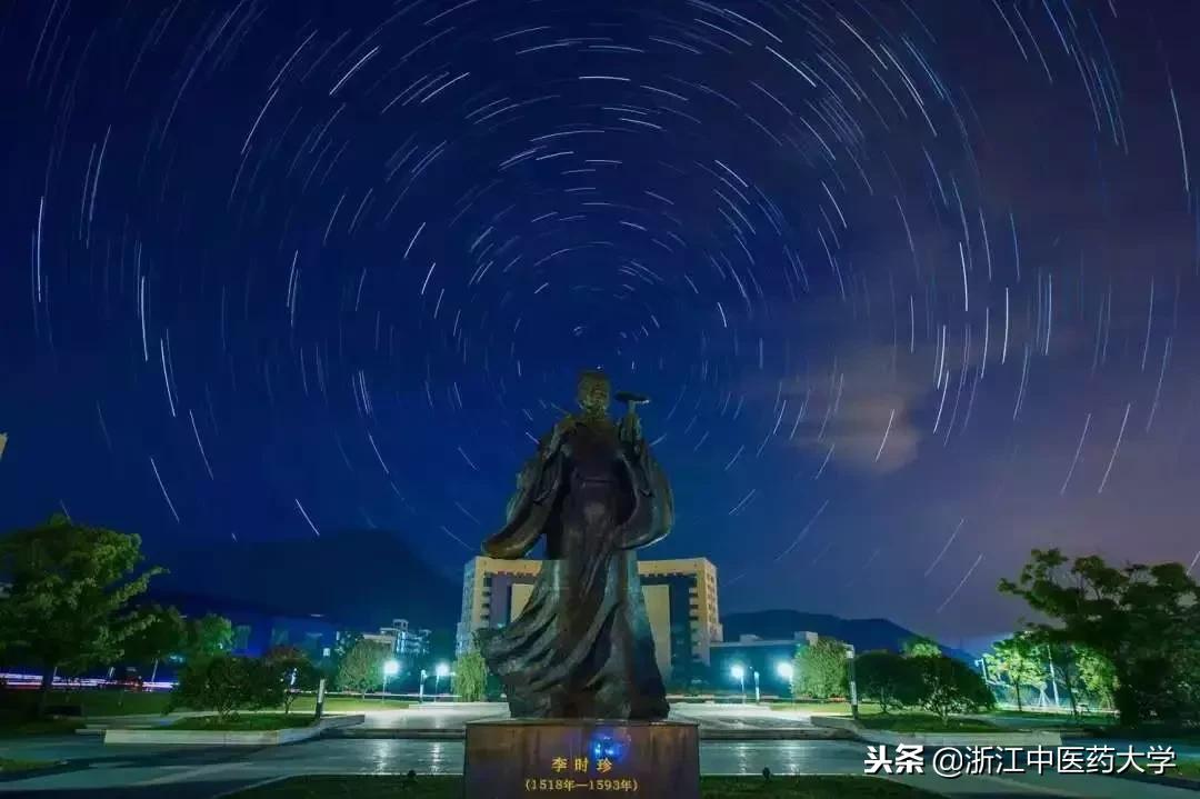 用镜头诉说中医药之美