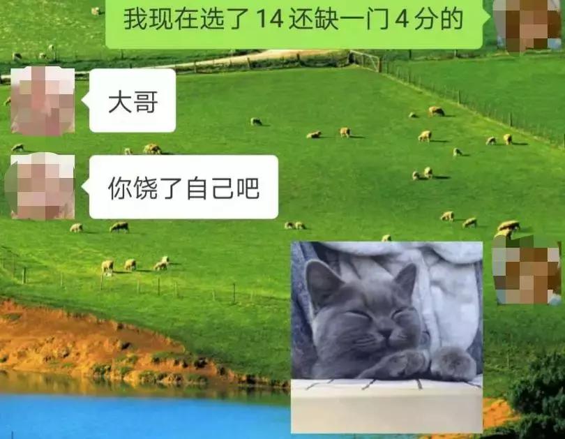 以假乱真真假留学生,以假乱真系列留学生