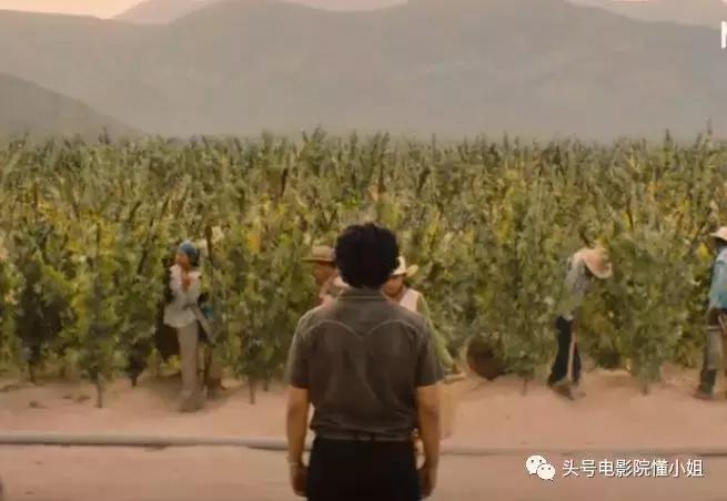 最不要命的美剧,美剧调查组成员被杀