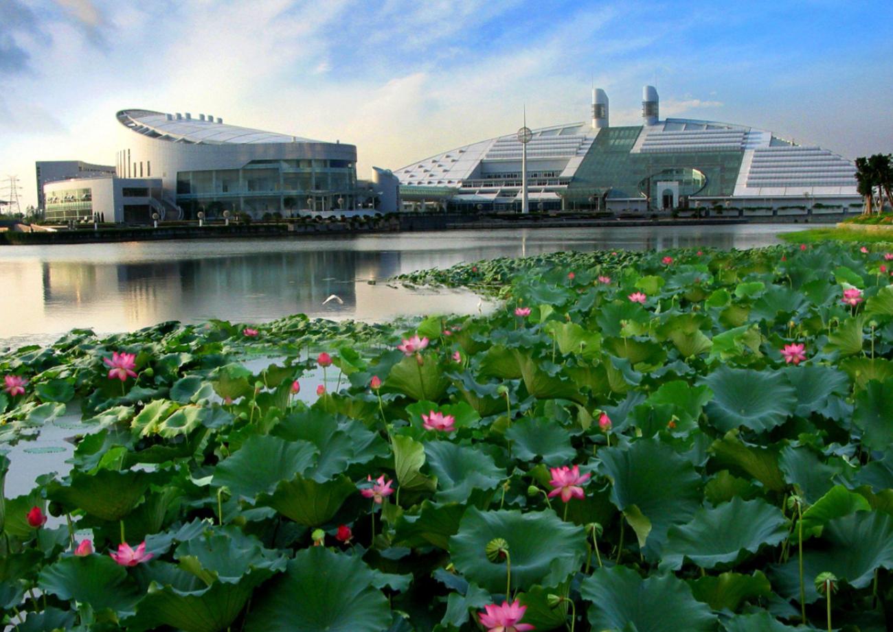 浙江省经济极为发达,却只有浙大一所211大学,是什么原因导致的