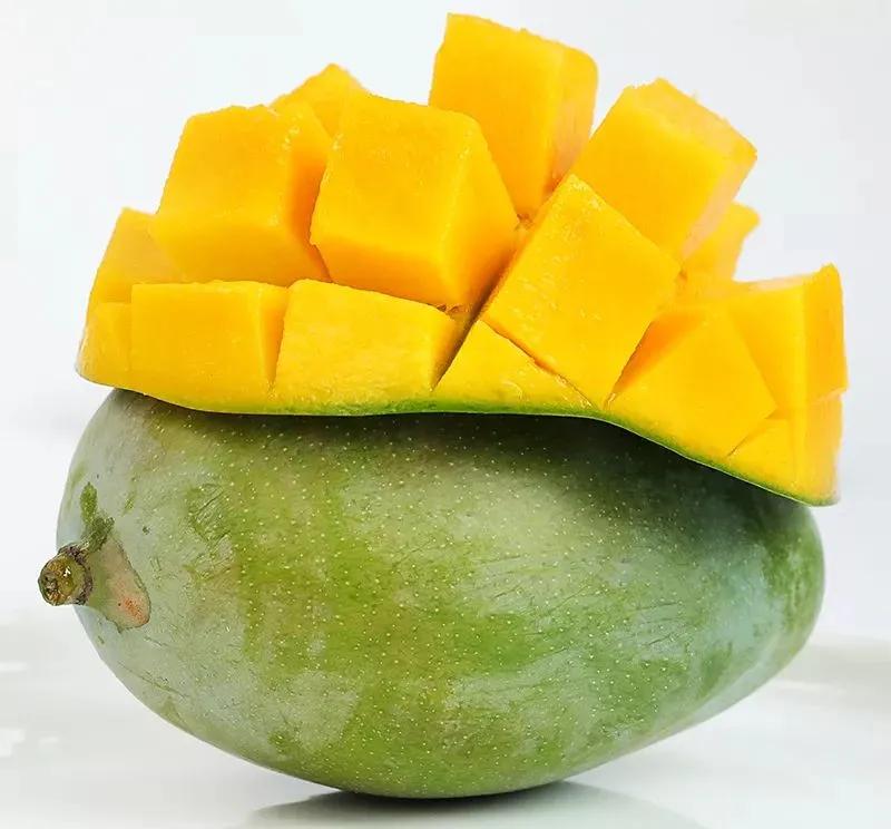 热带水果名单,热带水果王国攀枝花