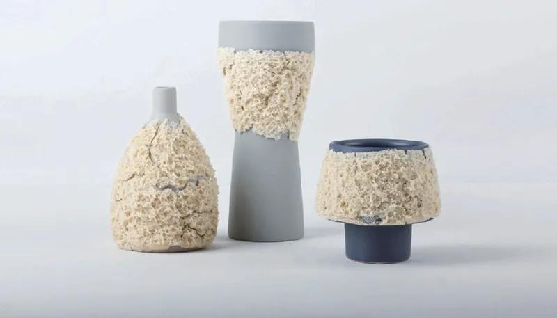 食物设计案例,健康饮食的设计意图