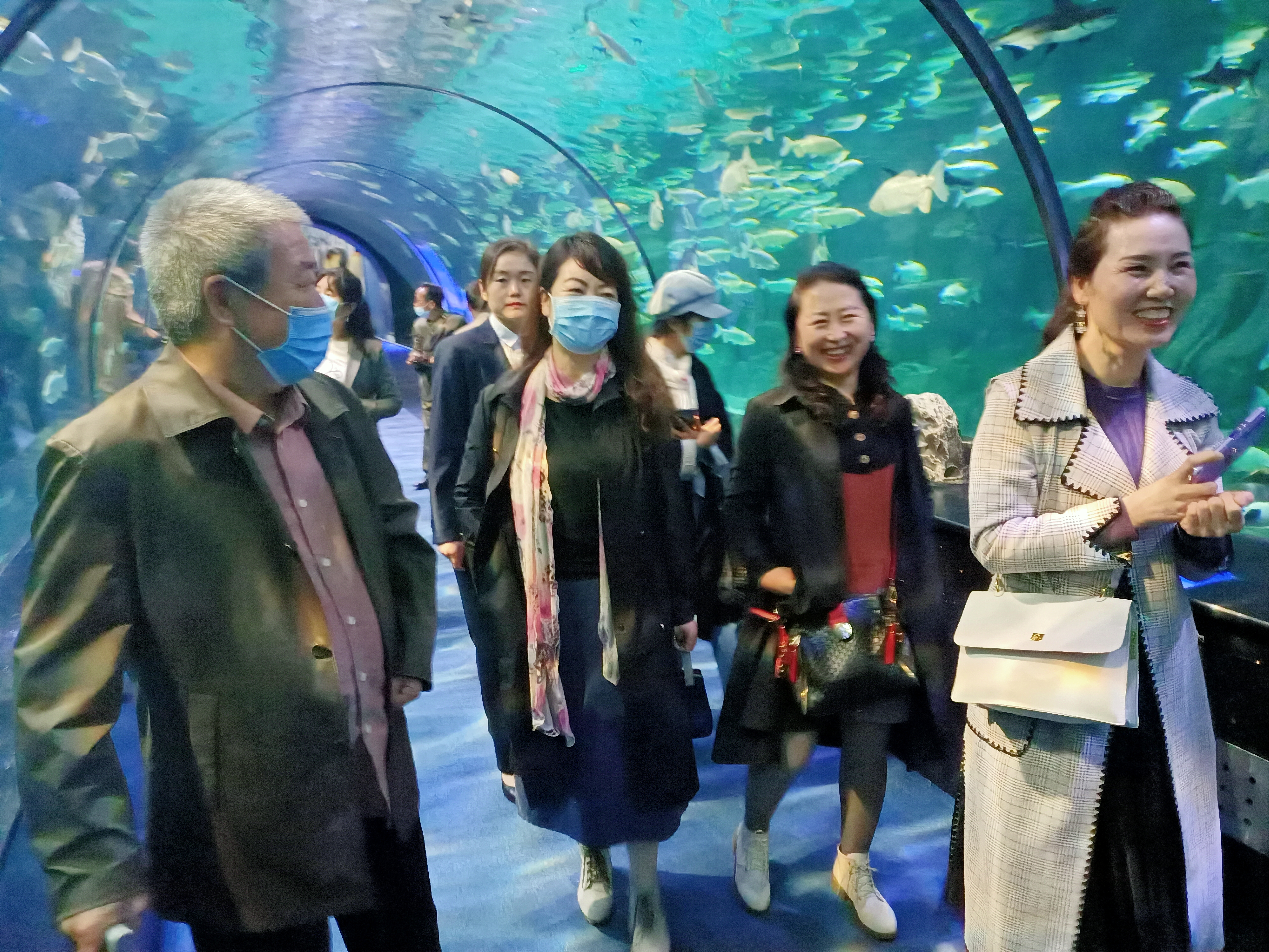 西安曲江海洋极地公园和海洋馆,游西安曲江海洋极地公园