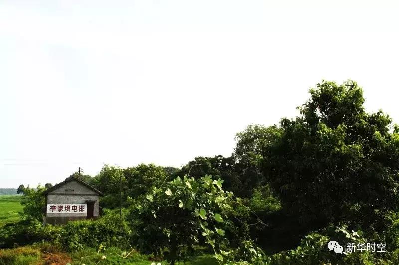 蒋家嘴西洞庭自然保护区,蒋家嘴镇规划