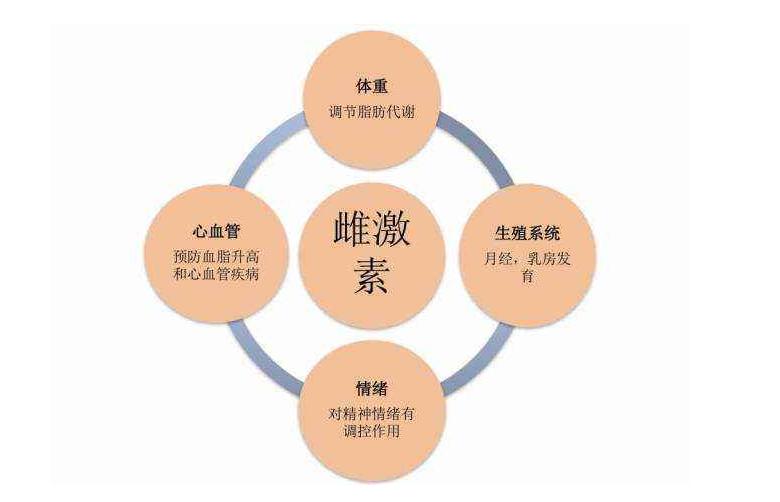 经期前一天内分泌过多,月经前为什么疯狂想吃高热量东西