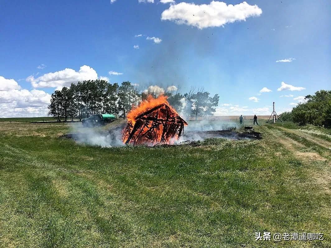 加拿大哪个城市老鼠最多,加拿大没有老鼠的地方
