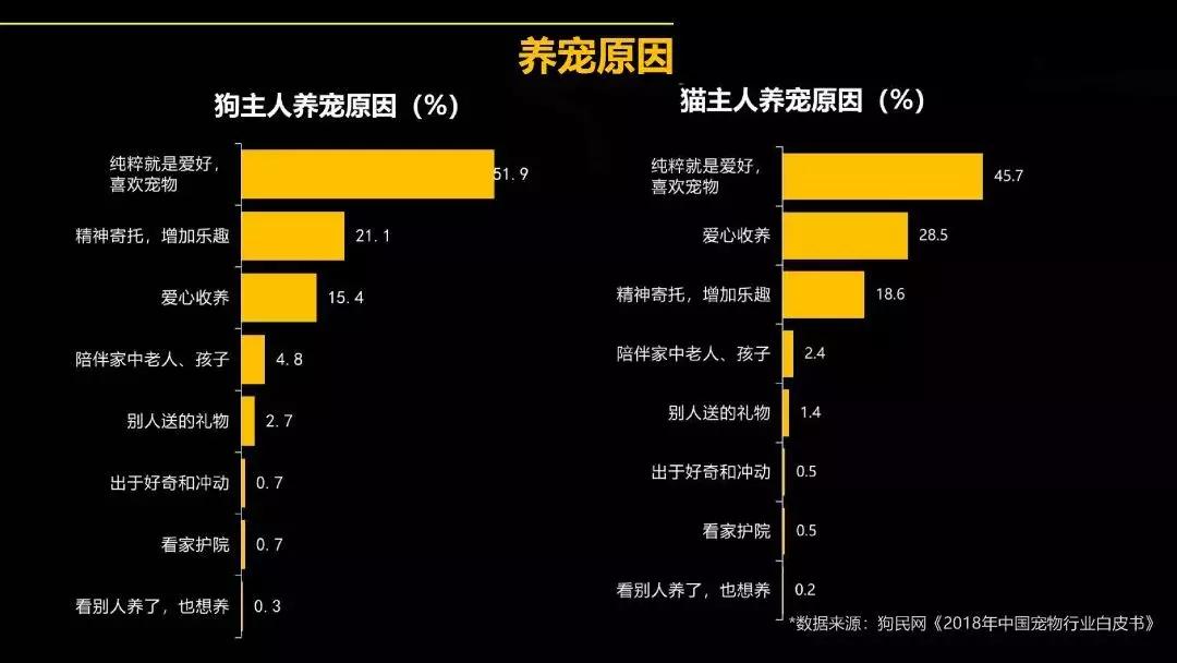 宠物经济背后的真实故事,宠物经济现状大爆发