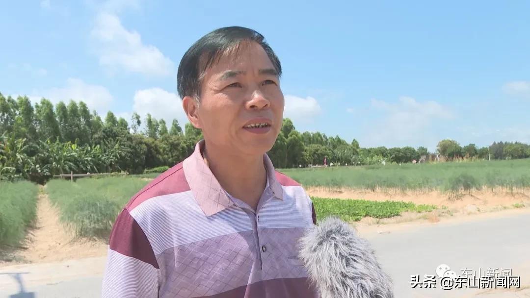 “云动力”让漳州东山这一产业焕发新活力