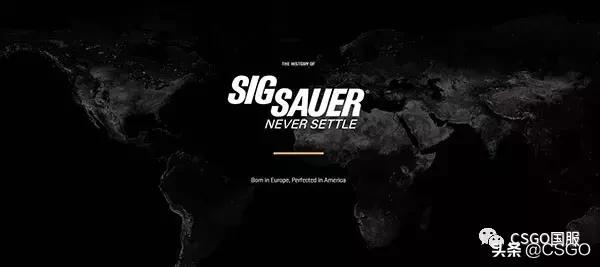 西格绍尔步枪sg553,西格绍尔热门枪型