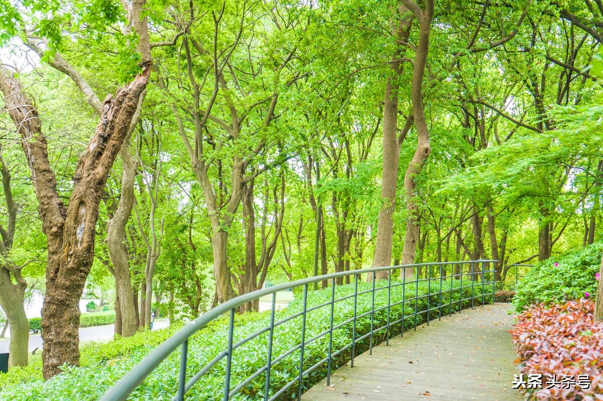 你就是我唇边燃烧的香烟，让我迷醉在你曼妙的缠绵