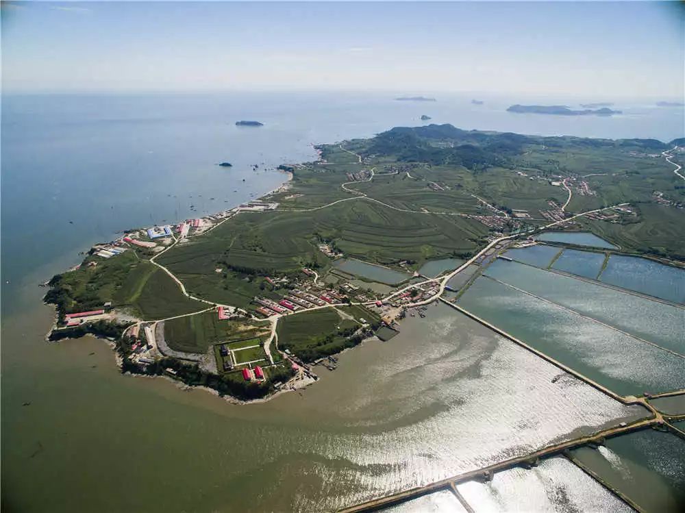 辽宁被低估的城市,辽宁最被低估的省份