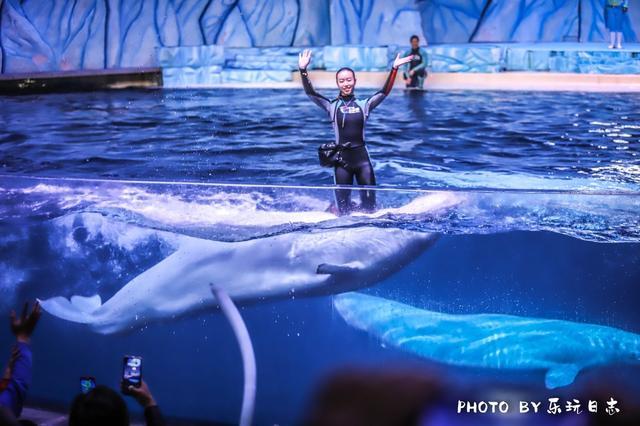 来珠海亲子必打卡景点，人工飘雪海洋动物表演，最适合周末亲子游