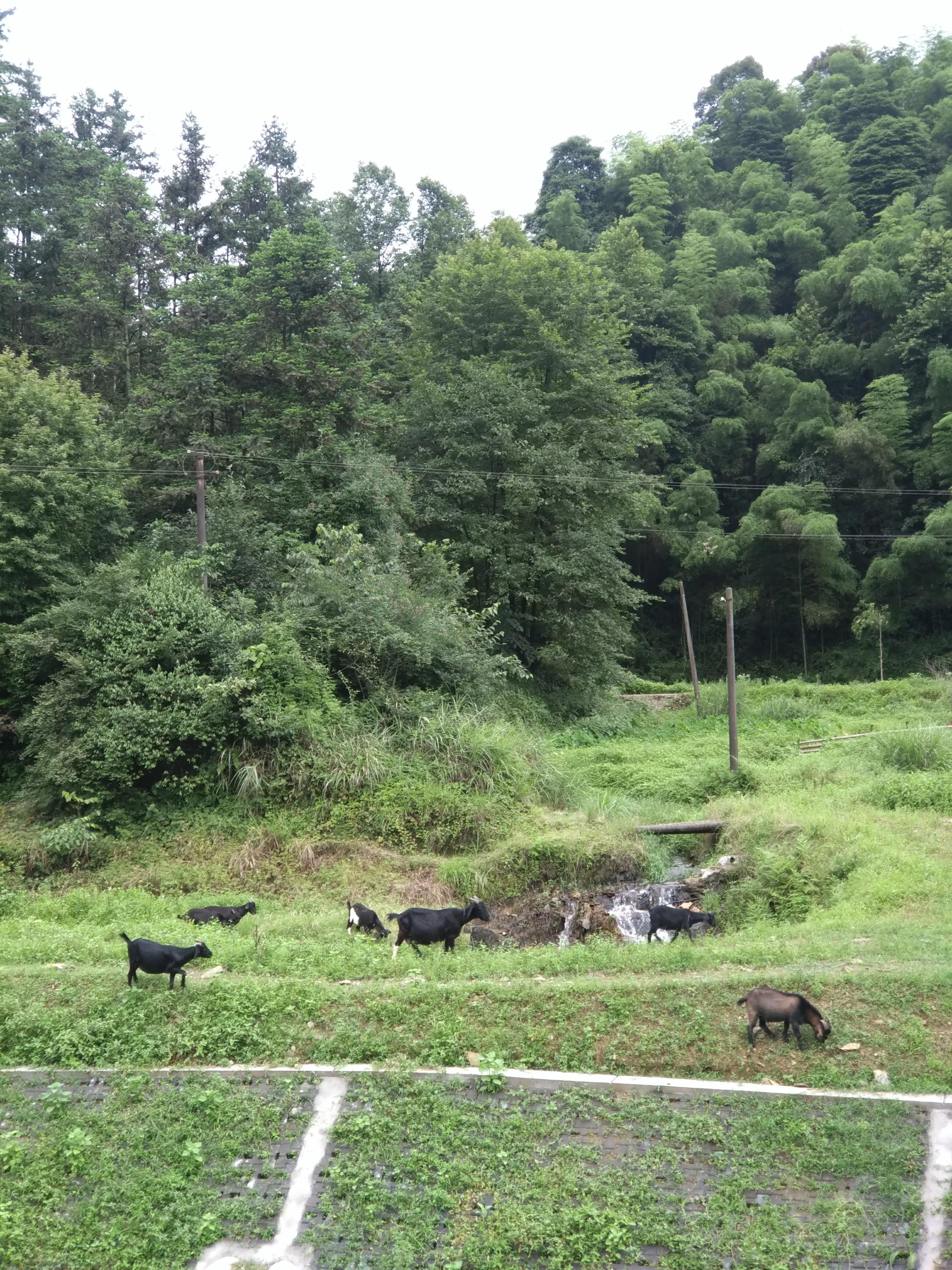 湖南常德花岩溪古村,湖南常德桃源县花岩溪