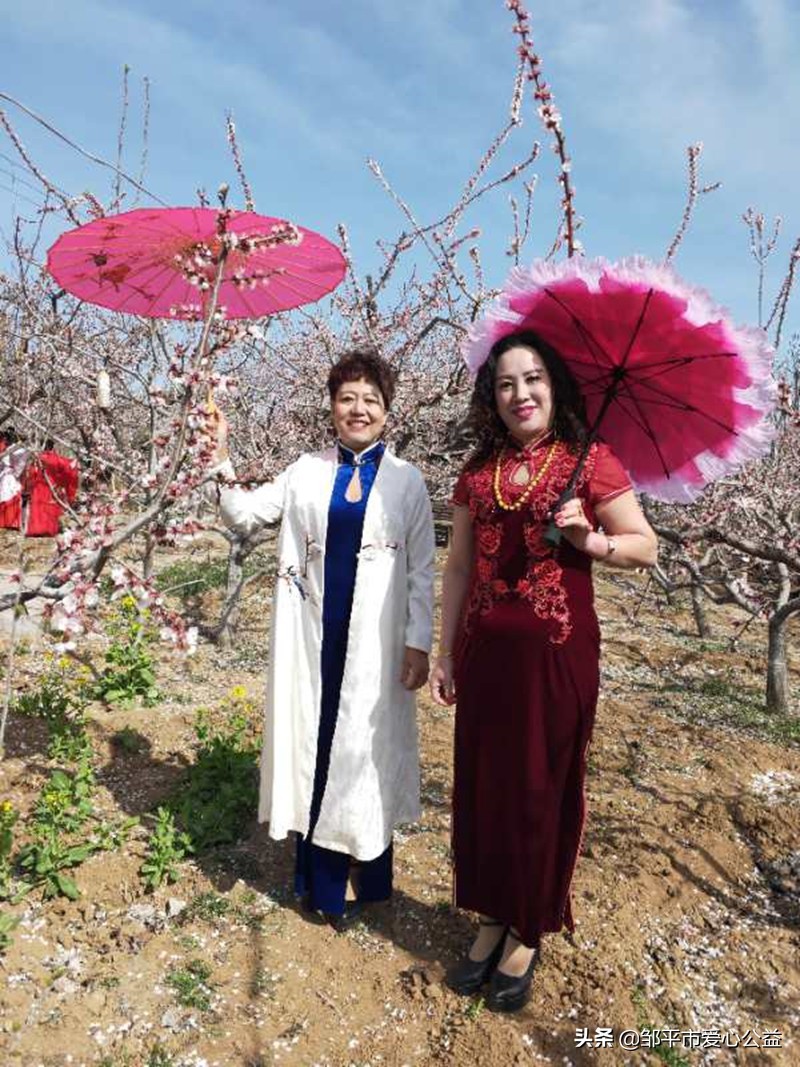 邹平黛溪张高杏花节直播,张高杏花节开幕式完整版