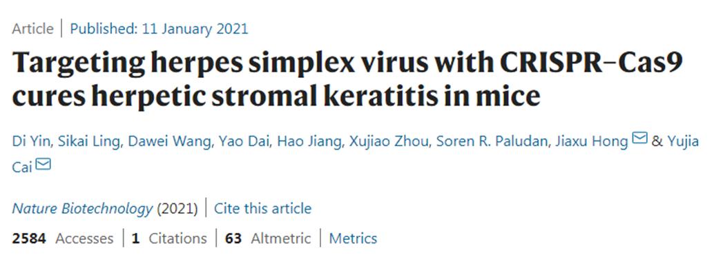 金斯瑞基因治疗发展,金斯瑞生物科技的未来