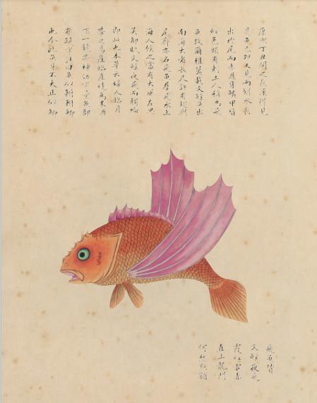 鍝楸艰兘鍦ㄦ捣闈笂婊戠繑,鑳藉湪娴烽潰涓婃粦缈旂殑鏄粈涔堥奔