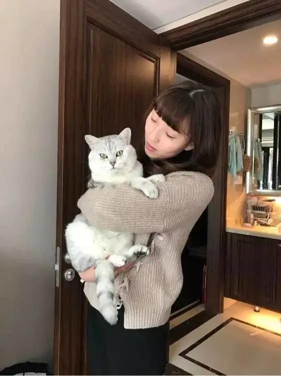 猫咪绝育引起肾衰竭死了,猫咪绝育后心脏病死亡