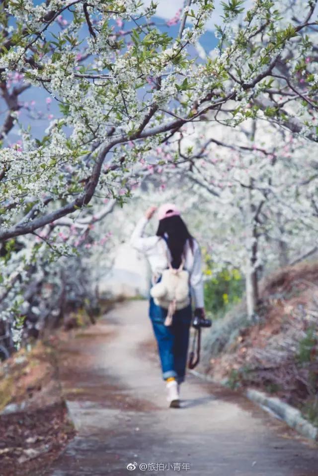 雅安旅行攻略亲子游,雅安市旅行攻略自由行路线