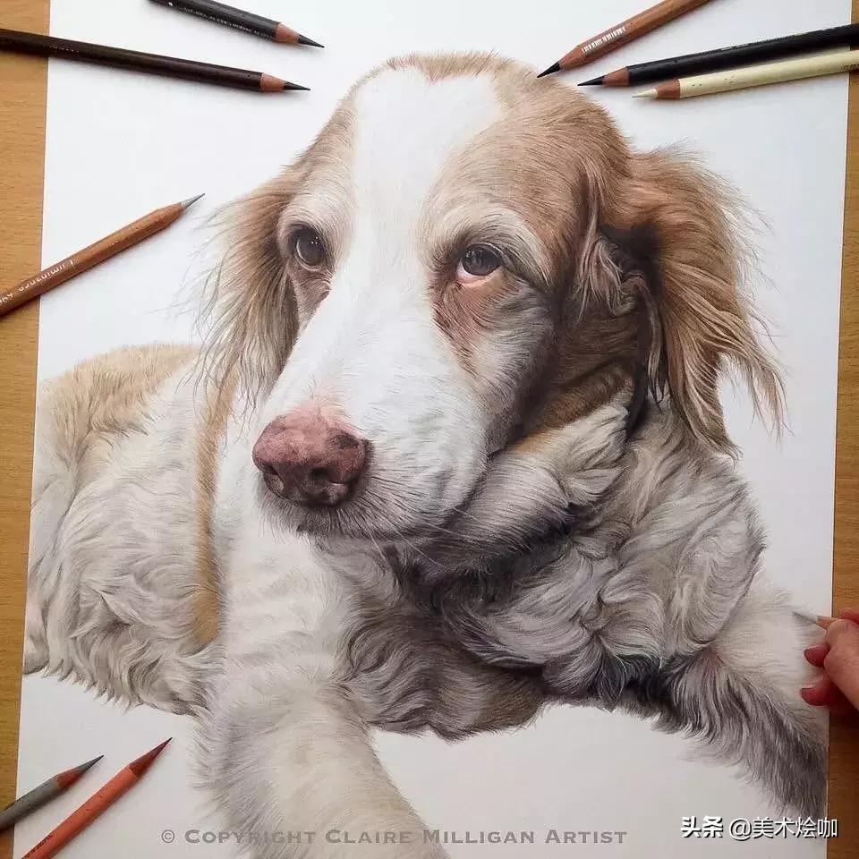 画的比照片还逼真,画的比照片还真实