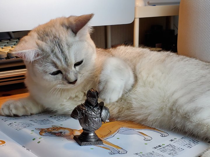 三星note10+全面评测,三星galaxynote10看点