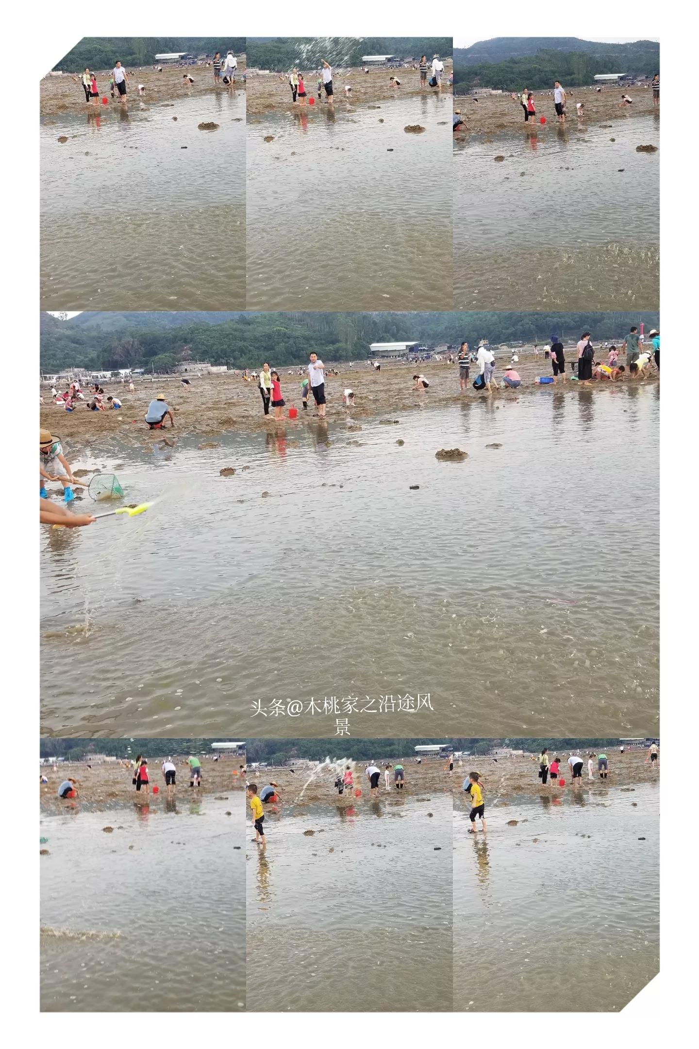 广东沙滩赶海去哪里,阳江东平镇沙滩赶海攻略