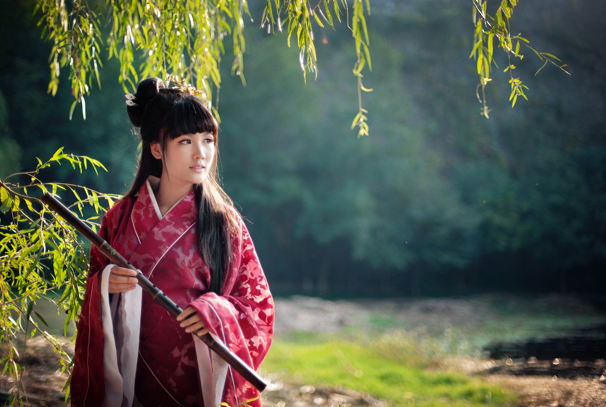 第14篇，尼康相机的标头-2021年元旦快乐