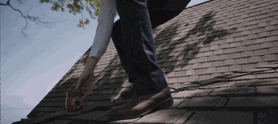 寄生虫解说完整版细思极恐,寄生虫美国电影