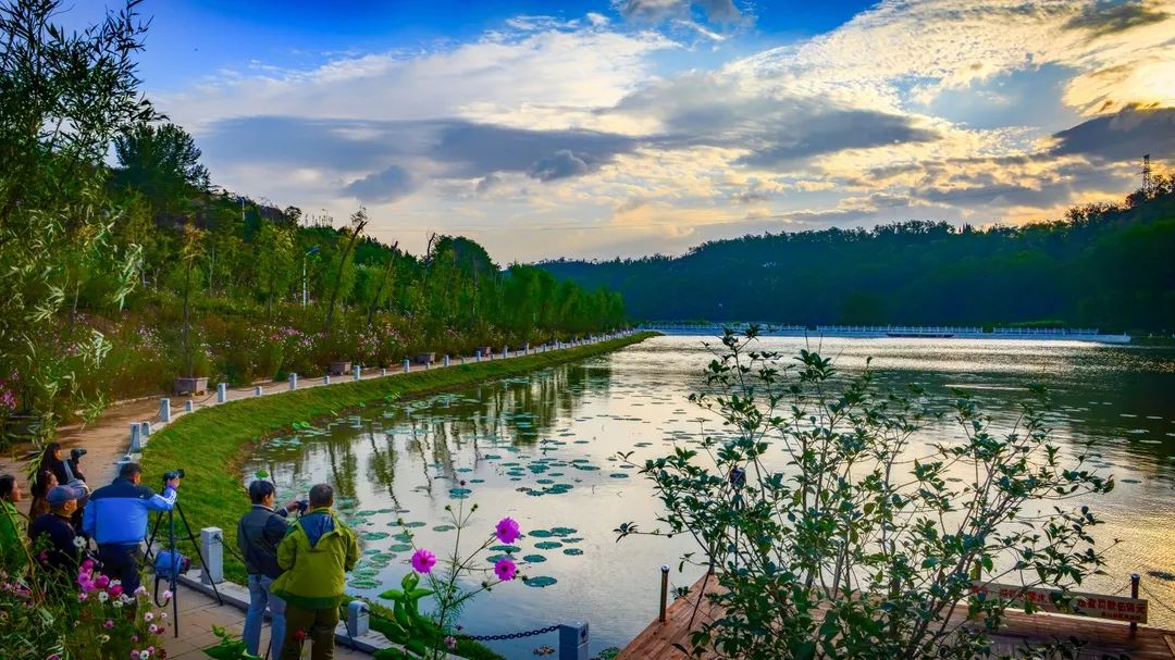 博山区年审,博山年审