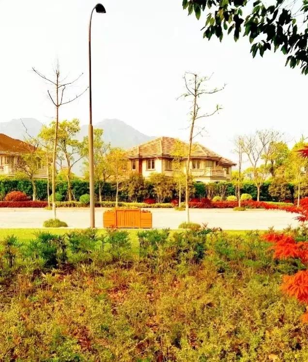 去到南方才发现颜值差异,第一次去北方南北差异