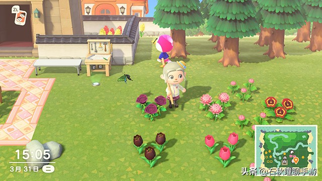 动物之森新手攻略,动物之森100个小技巧