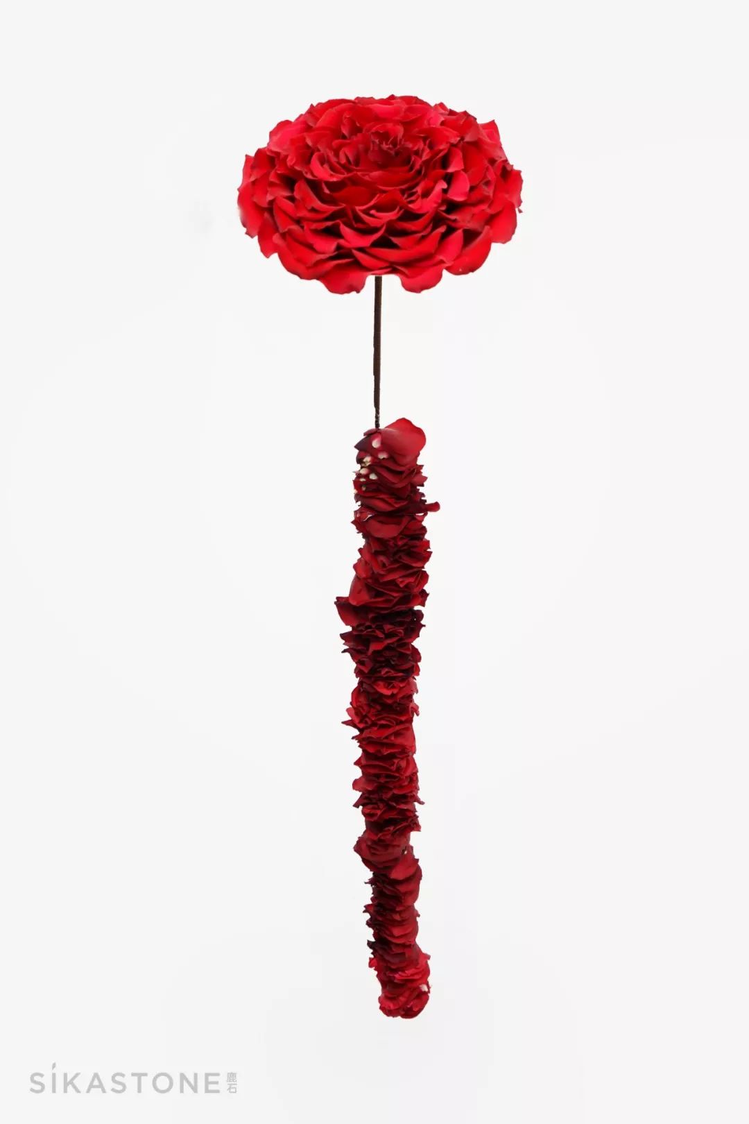 了不起的发明主题目标,了不起的发明主题环创