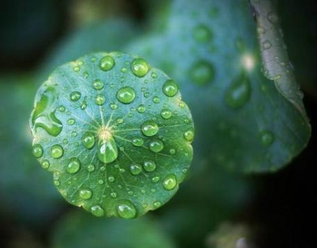 穷不走亲富不还乡自己要看清楚,穷不走亲富不还乡老话说的有道理
