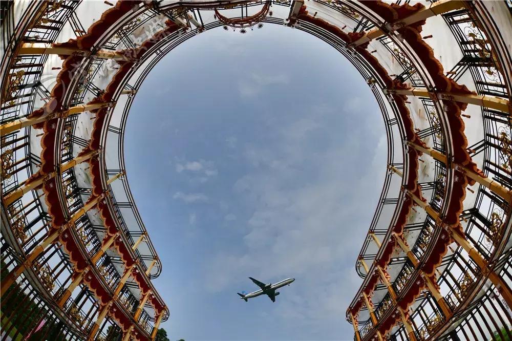 双流哪里可以赏花看飞机,双流附近赏花攻略路线