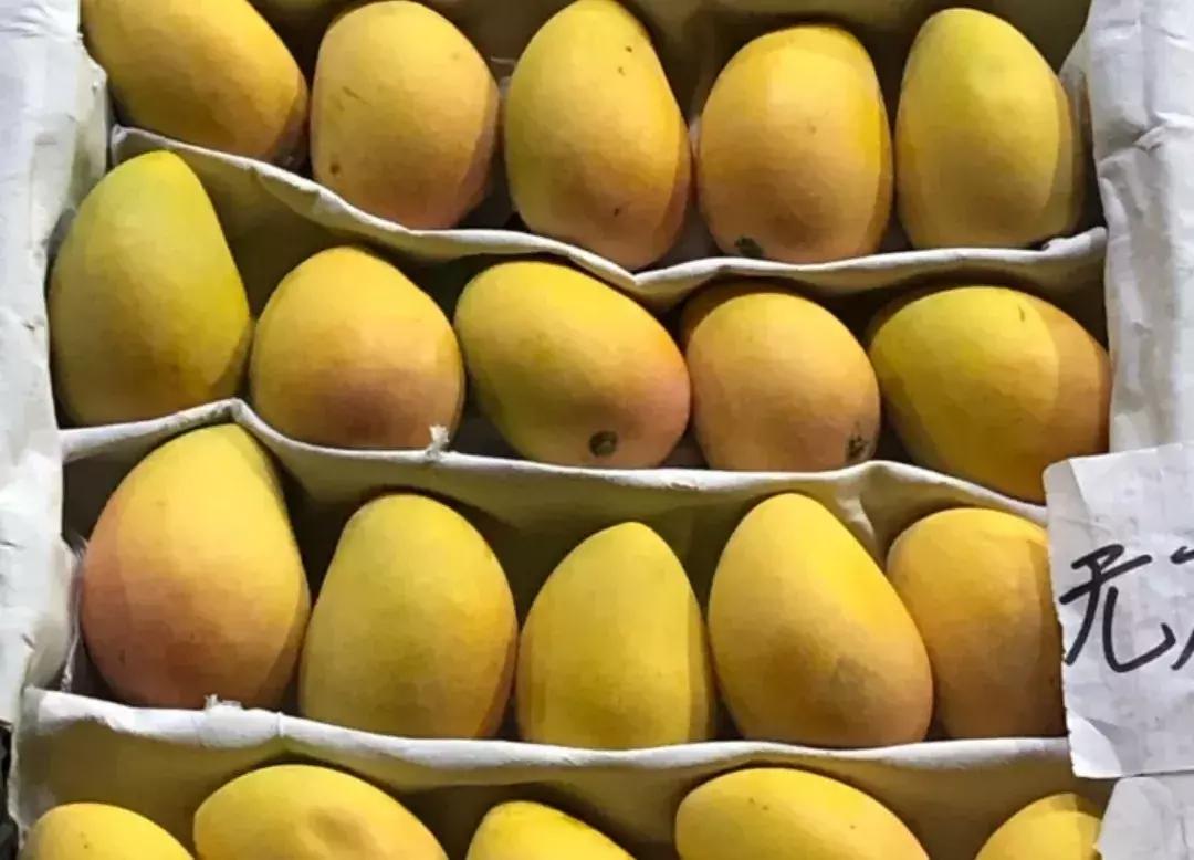 荔枝便宜批发市场,百大周谷堆水果批发市场荔枝价格