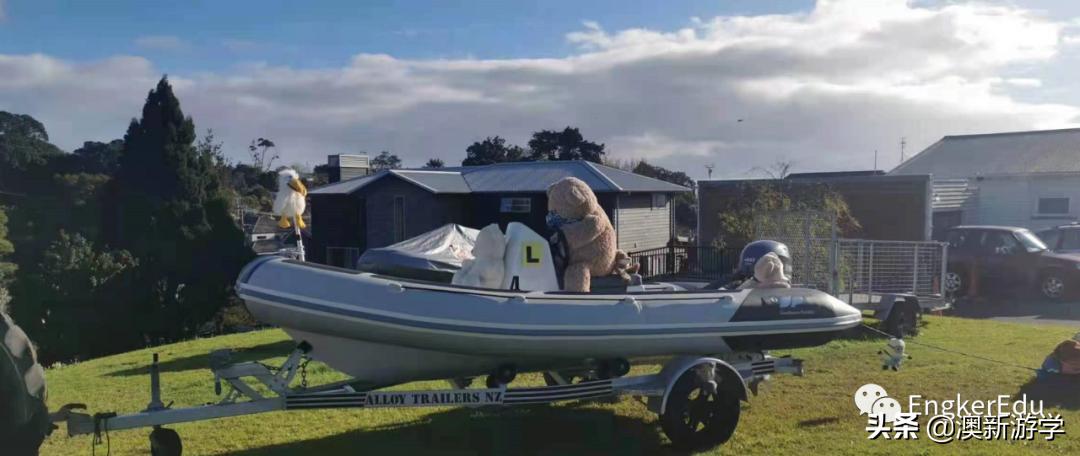 封城期间，玩偶一家的生活大揭秘