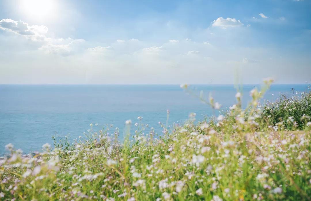 33元轮渡上岛费用,33元轮渡上岛费