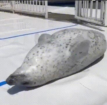 2022年国庆美食游乐嘉年华,国庆美食游乐嘉年华