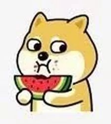 3.15晚会打假,3.15打假晚会是哪一年开始的