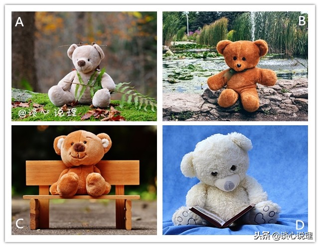 心理测试猴子的特点,心理测试小游戏测试你的性格