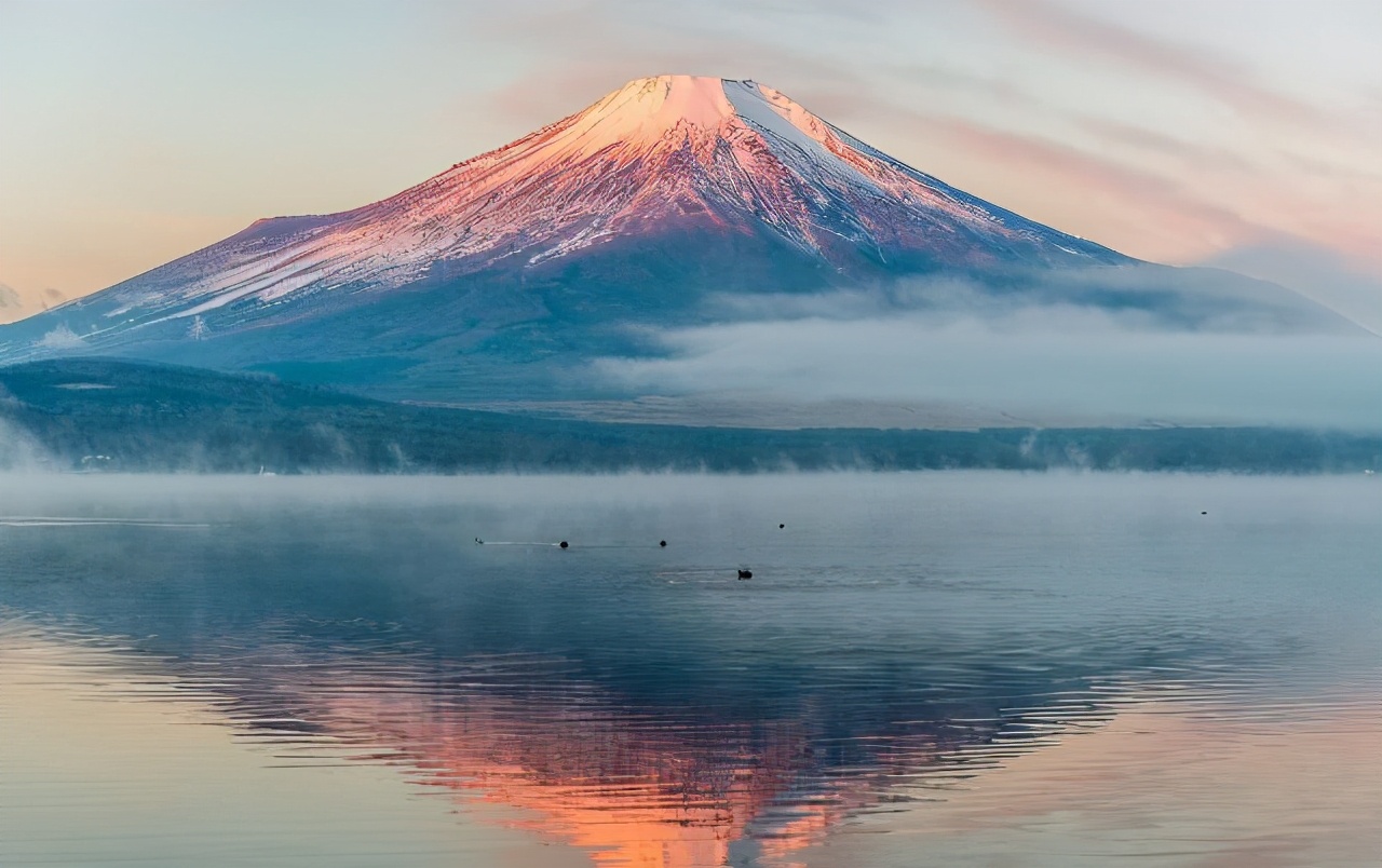 导游:到日本后,不要给半夜敲门的女孩开门,不听劝的等着后悔吧
