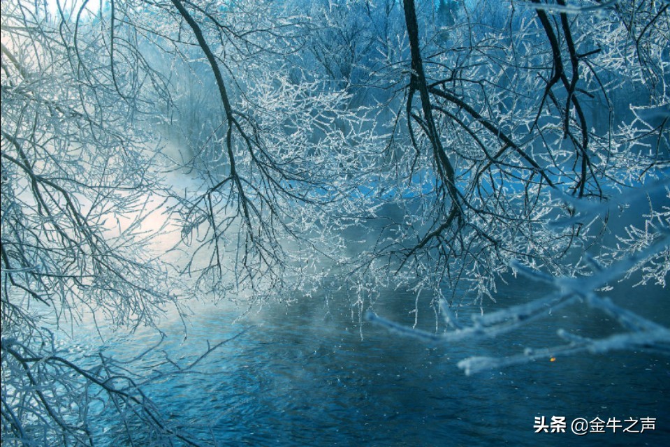 诵读国学传诵经典,关于国学经典传诵的视频