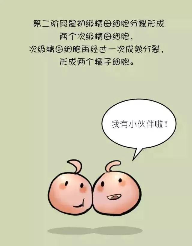 男性不孕不育中医治疗配方,男性治疗不孕不育要用什么药