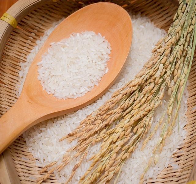 杂交水稻和泰国香米,杂交水稻的米好吃吗