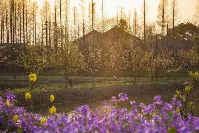 涔屾潙娓稿鏁伴噺,涔屾潙骞存帴寰呮父瀹㈤噺
