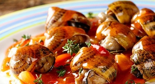 蜗牛碰到盐就会化水视频,给蜗牛撒上盐就会化成一滩水