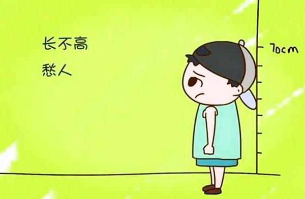 2岁宝宝个子偏矮吃什么好,两岁宝宝矮小吃什么补得快