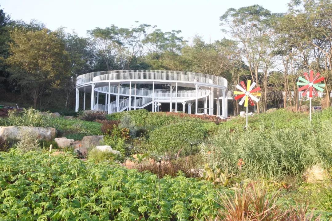 南宁园博园龙虎潭,南宁园博园花山叠瀑