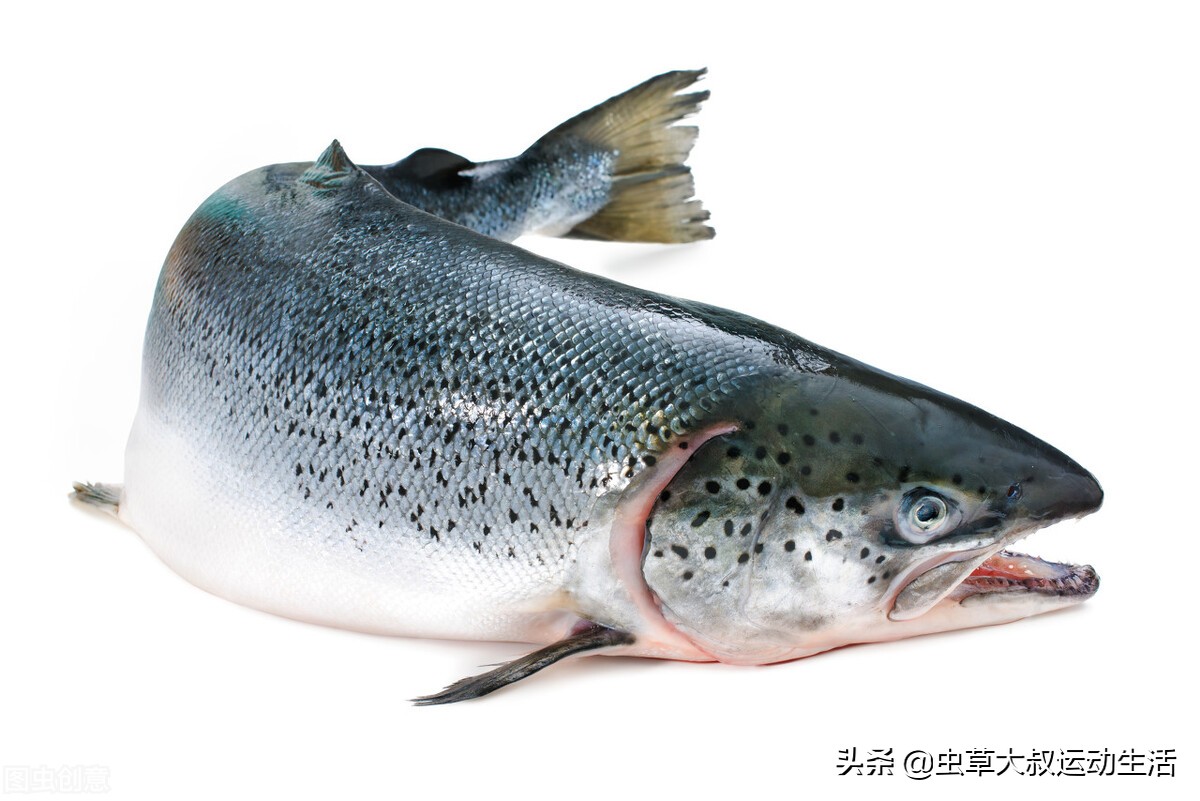 又低脂又具有饱腹感的食物,低碳水饱腹感的食物