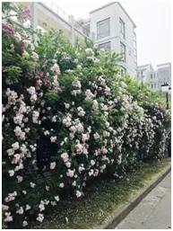 新生入校攻略|住在江南，让生活更精彩!