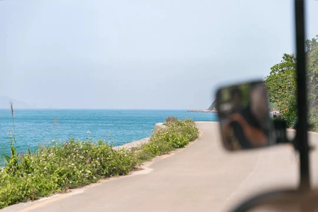 深圳旅游好去处推荐,深圳宝安区周末休闲浪漫好去处